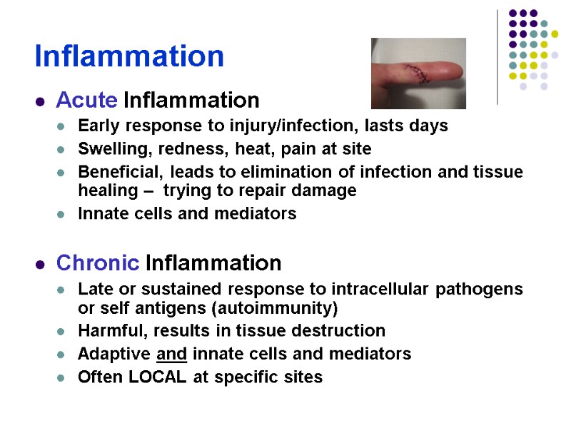 Inflammation Acute Inflammation Early response to injury/infection, lasts days Swelling, redness, heat, pain at